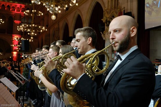 © SciBall/Ferrigato