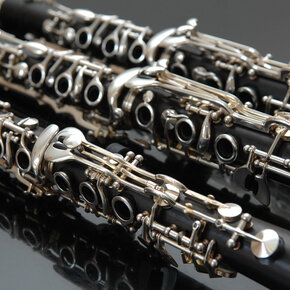 Con Brio! - Konzert der Jungen Akademie