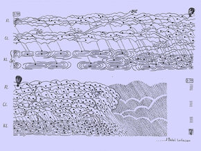 © Florijan Lörnitzo