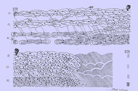 Interpretationsforschung