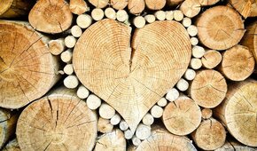 ABGESAGT: Der Holzdieb