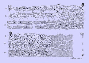 © Florijan Lörnitzo